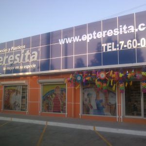 BUGAMBILIAS 1